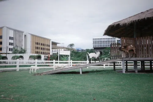 SANSIRI BACKYARD T77