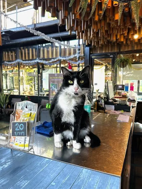 バーンガチャオでChill