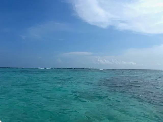 夜光虫が見れる島『Vaadhoo Island』