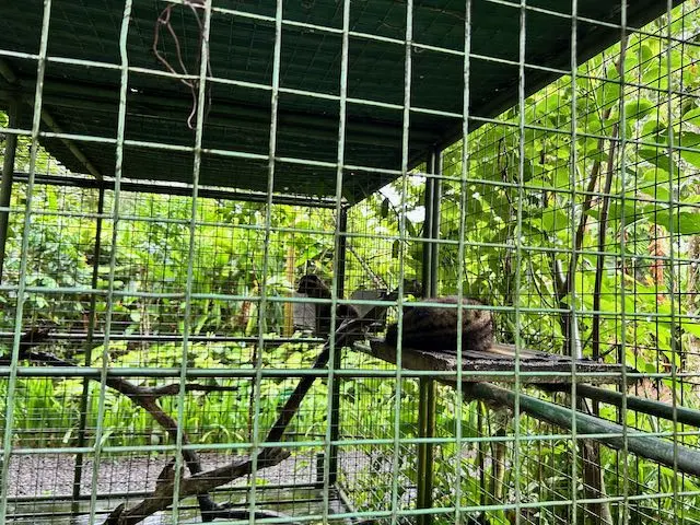 2泊3日バリ島旅〜Ubud〜