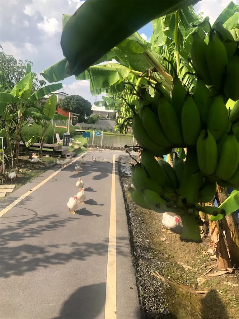 f:id:bkk42:20211115172336j:image